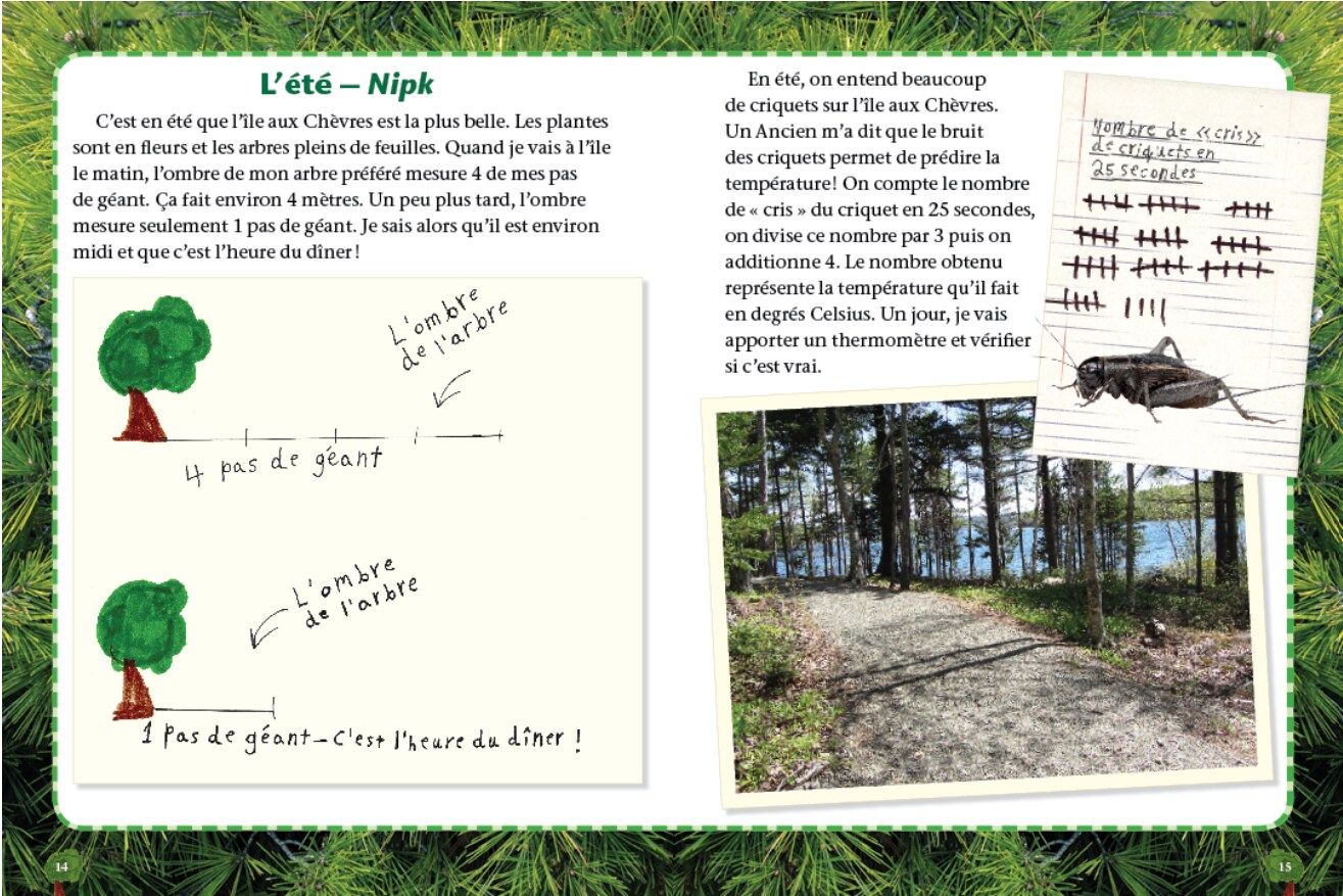 An educational page titled “Summer—Nipk”. The left side has handwritten notes and drawings of trees with text:  “Tree’s shadow” and “4 giant steps” with an arrow pointing to a tree. “A giant step – it’s lunch time!” The right side includes text about Goat Island in summer, cricket chirping as a way to estimate temperature, and a photo of a forest path with trees. There’s also a sketch of a cricket and tally marks with the note: “Cricket chirps heard in 25 seconds”.