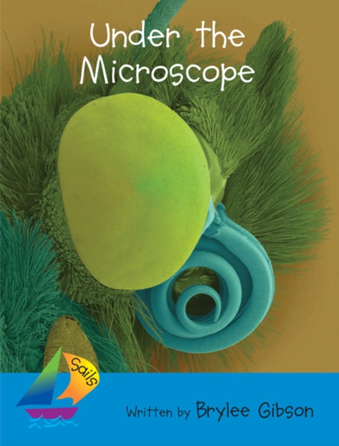 Under the Microscope