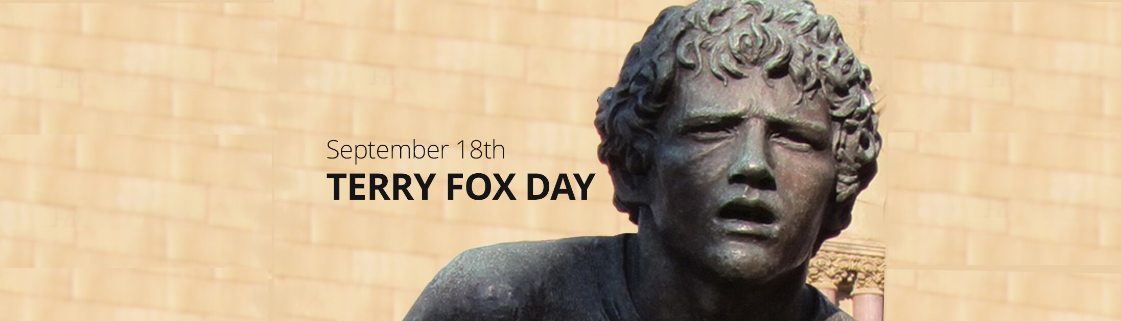 terry-fox-banner
