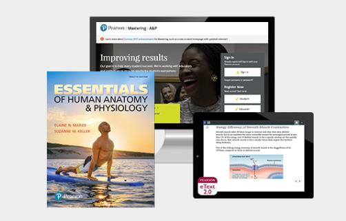 essentials of human anatomy cover image